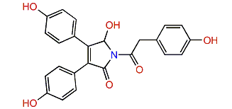 5-Hydroxyneolamellarin B